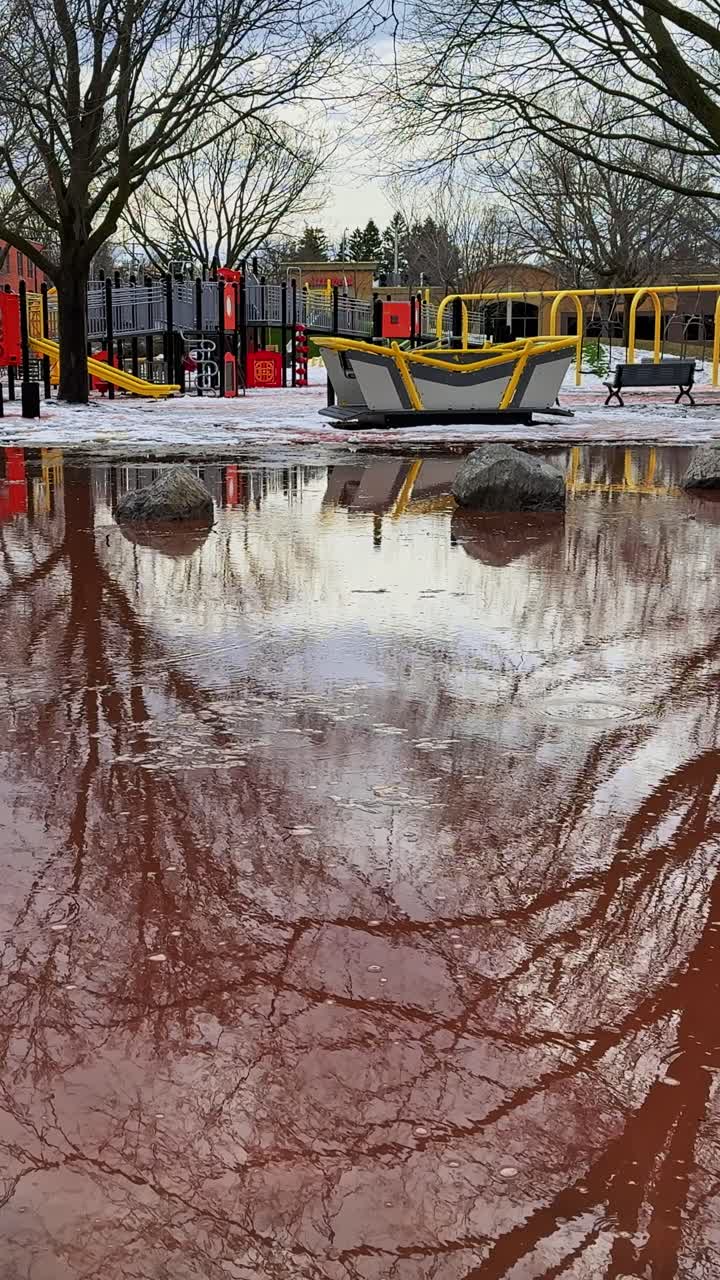 Mentre l'inverno si attenua, lo scioglimento della neve marrone si diffonde nell'area giochi vuota, riflettendo gli alberi spogli e mostrando il lato aspro dell'inizio primavera in un parco cittadino.