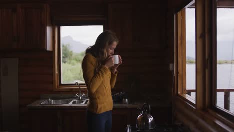 caucasian woman spending time at home, drinking a beverage, looking at the window