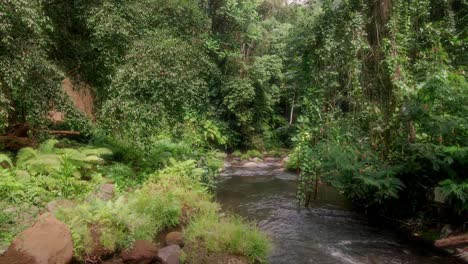 Aerial-view-flying-between-tropical-vegetation,-over-a-jungle-stream-in-Indonesia