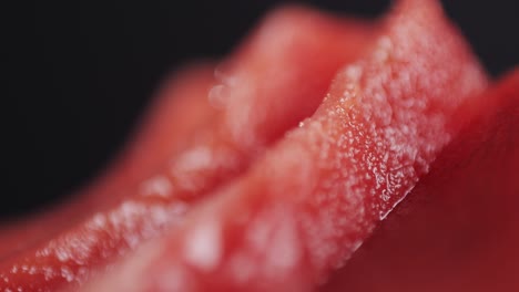 close-up of sliced watermelon