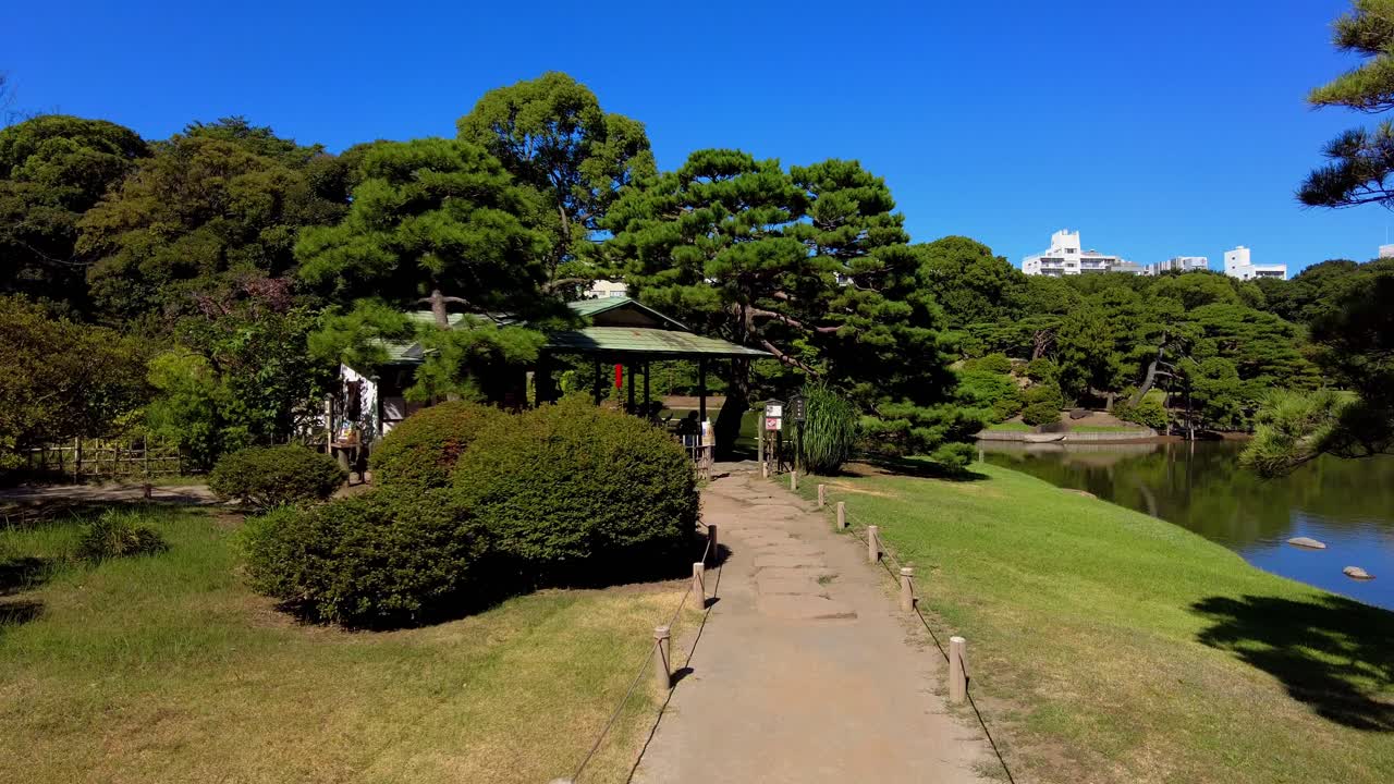 The beautiful park in Tokyo
