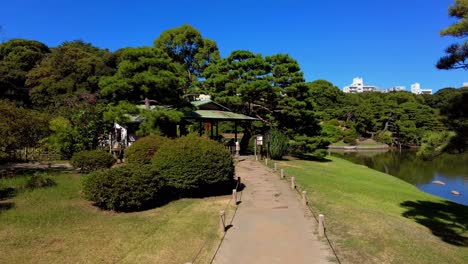 the beautiful park in tokyo