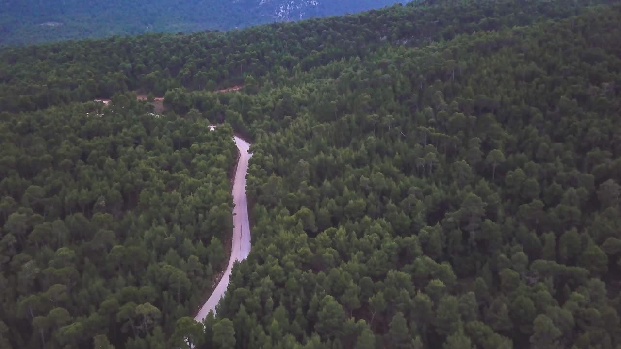 toma de drones de autos acelerando a través de un bosque de pinos durante la hora azul en grecia