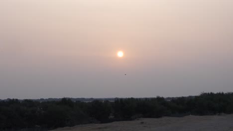 Aerial-dead-brown-mangrove-trees-and-green-mangrove-trees-at-Karachi