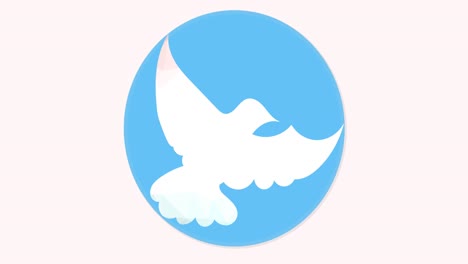 Animation-of-dove-icon-on-white-background