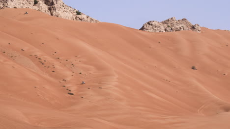personas que viajan en motocicletas viajando a través de dunas elevadas del desierto en roca fósil, sharjah, uae dubai