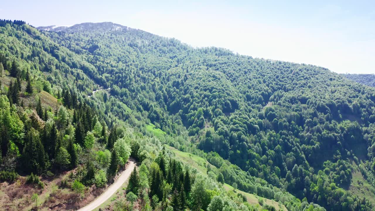 vista de drones de la ladera de la montaña del bosque con camino sinuoso