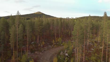 Aerial-fly-through-low-angle-shot-between-pine-tree-forest,-following-a-dirt-trail-with-a-mountain-peak-in-the-background,-in-Lapland,-sweden