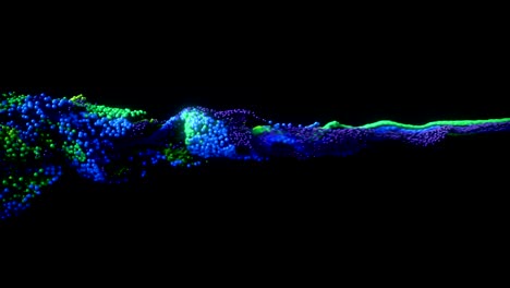 fluid / paint simulation exploding forward.