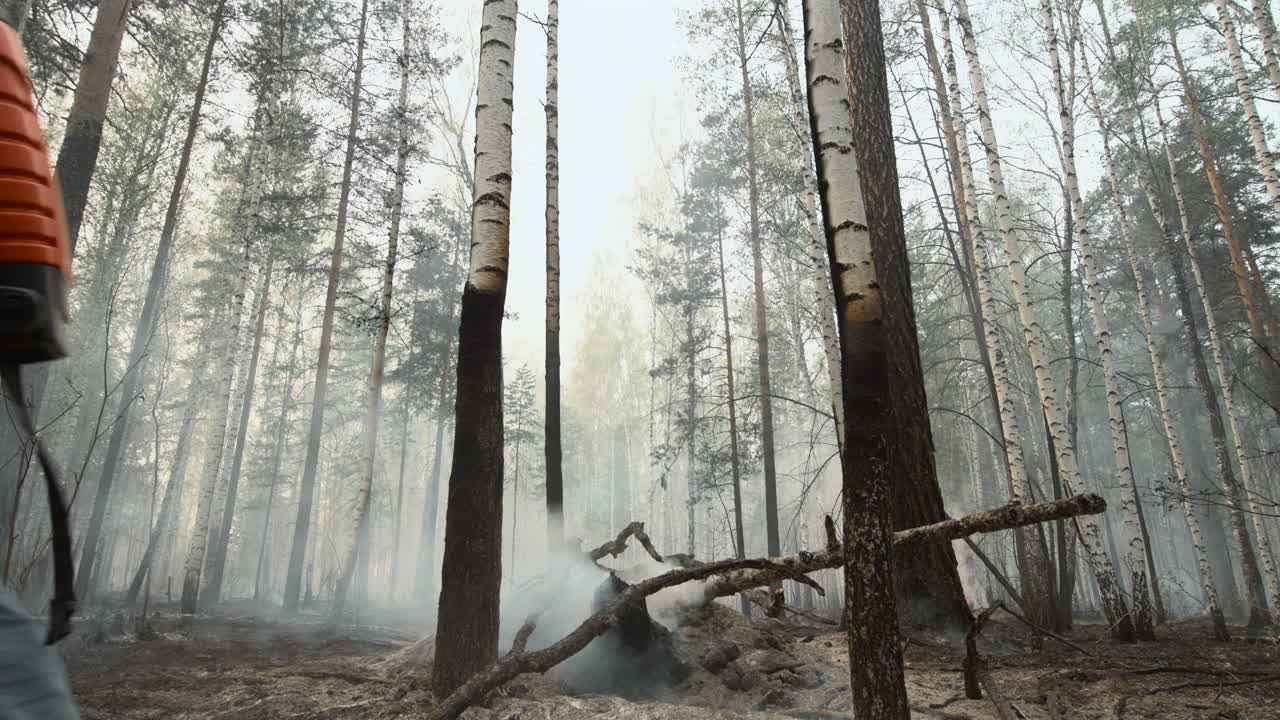 Mand slukker ulmende rester i en brændt skov efter naturbrand