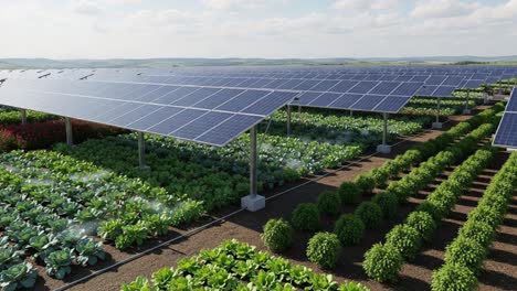 a sustainable future: harnessing solar energy in agroecology by combining solar panels and crop cultivation for enhanced agricultural productivity and environmental benefits