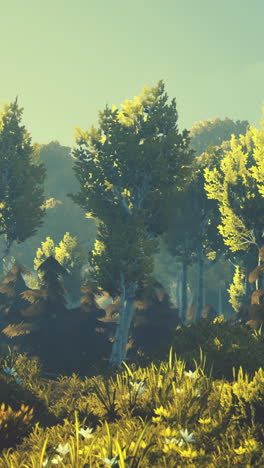 el paisaje sereno del bosque al amanecer
