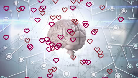animación de corazones rojos, cerebro humano y red de conexiones