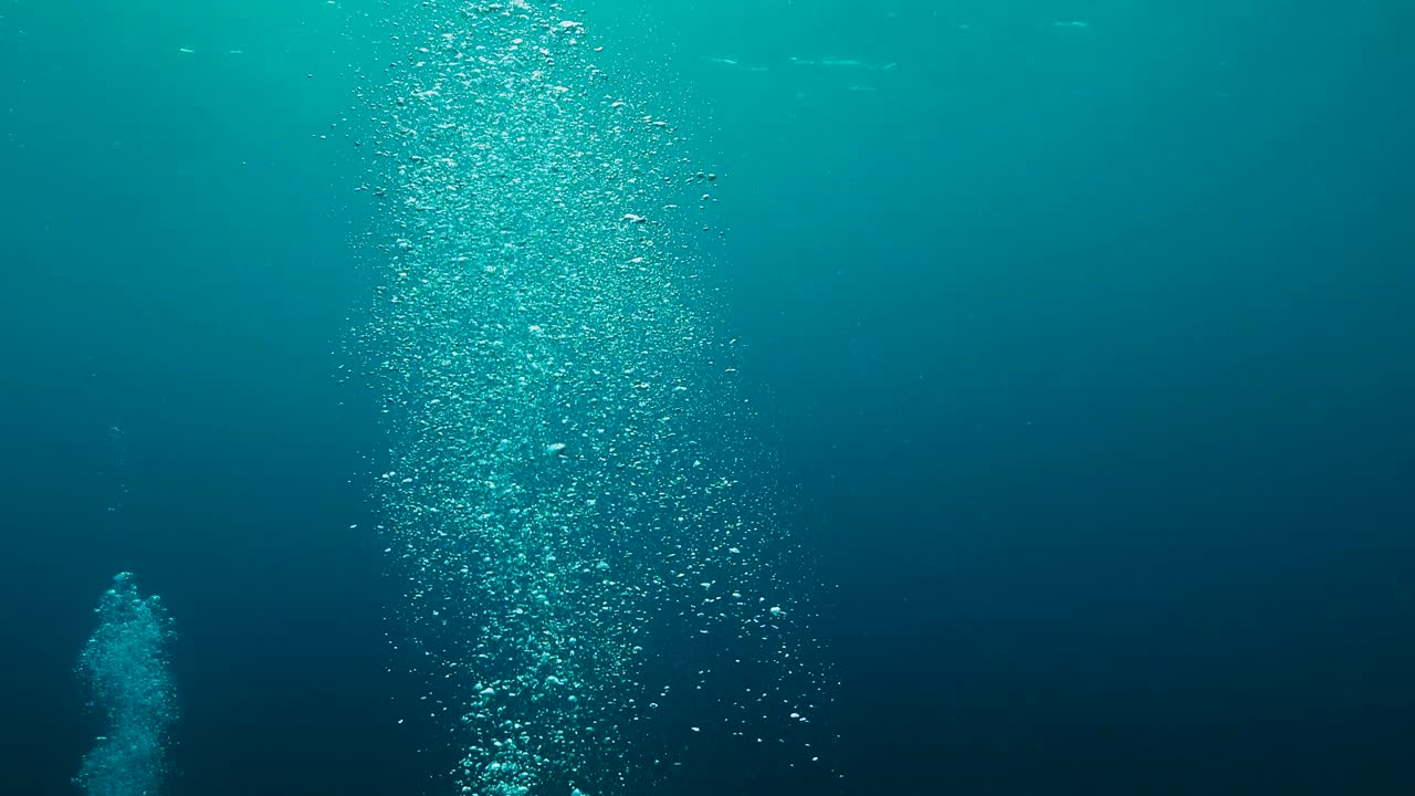 바다의 수중 거품은 열대 푸른 바다에서 표면으로 떠다닙니다.