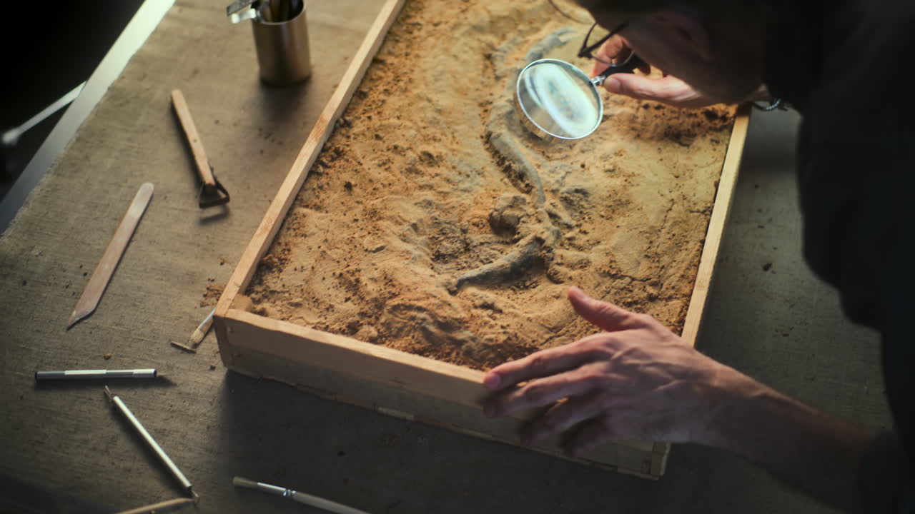 un paleontólogo examinando un fósil