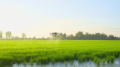 agriculture drone flying and spraying fertilizer and pesticide over farmland,high technology innovations and smart farming