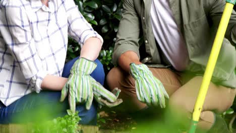 couple interacting while gardening in garden