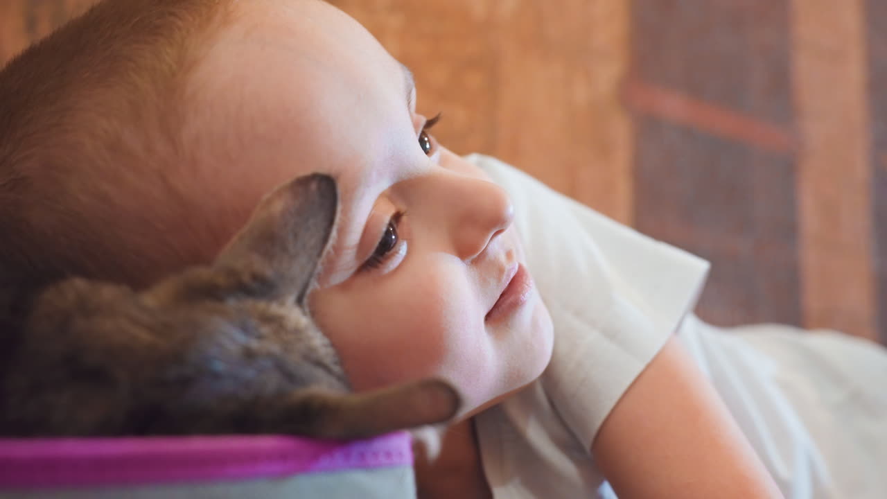 Dolce bambino che riposa accanto a un gatto con un sorriso delicato e uno sguardo calmo, momento familiare rilassato in interni con un cesto viola e uno sfondo di legno caldo, la dolce compagnia felina catturata in un ritratto spontaneo.
