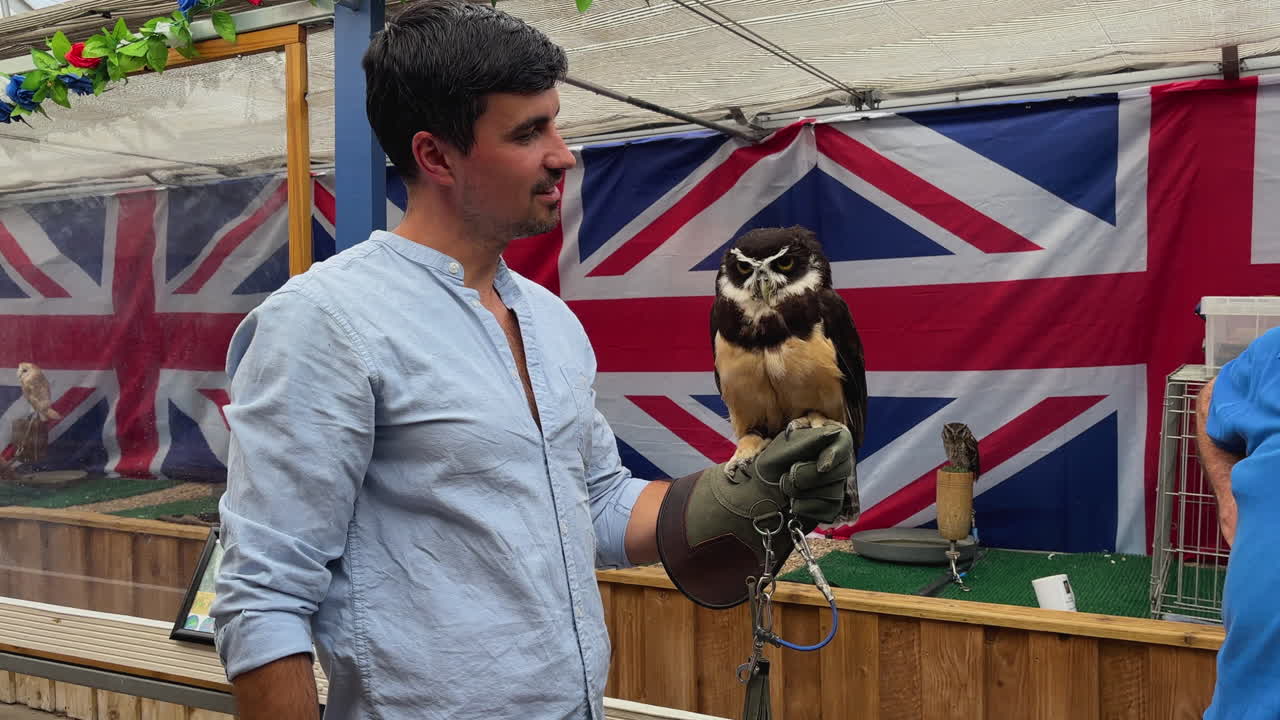 Man in blue shirt holds an spectacled owl confidently in British-themed setting. Vibrant flags in background, bright lighting highlights bird's feathers. Captivating interaction