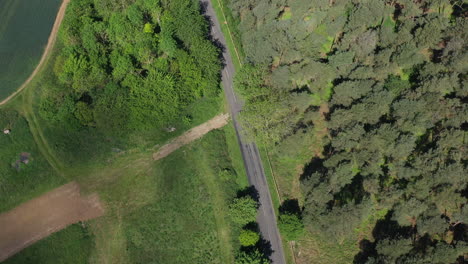 toma aérea volando sobre un bosque con un camino que corre al costado