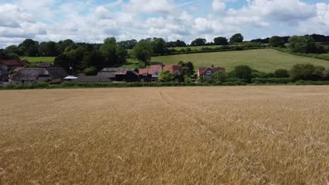 a low and fast sideways drone shot from one end of a wheat field to another, in a very english town in the middle of no-where