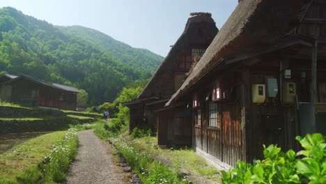 Vista-Cercana-De-Casas-Con-Techo-De-Paja-Y-Camino-De-Tierra-En-Shirakawago-Japón-Sitio-Del-Patrimonio-Mundial-De-La-Unesco,-Montañas-Verdosas-Llenas-De-Naturaleza