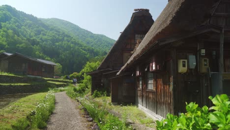 close-up view of thatched houses and dirt road in shirakawago japan unesco world heritage site, greenish mountains full of nature