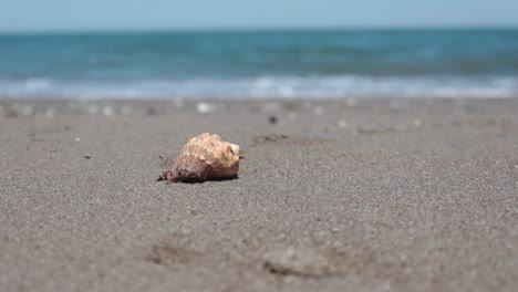 Caminando-Por-La-Playa-Con-Fondo-De-Zapatilla