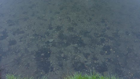 orilla del lago cubierta de hierba a la inclinación de la niebla enid columbia británica canadá