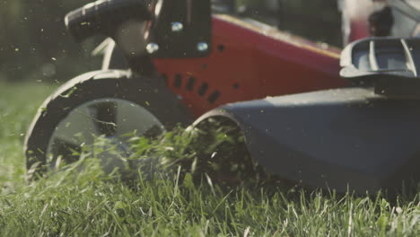 lawn mower cutting grass