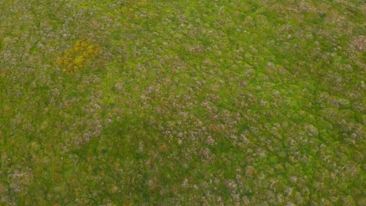 tiro de inclinación aérea dinámica del paisaje de las tierras altas de lomond hills, escocia