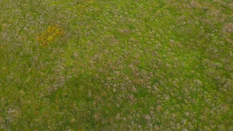 Toma-De-Inclinación-Aérea-Dinámica-Del-Paisaje-De-Las-Tierras-Altas-De-Lomond-Hills,-Escocia