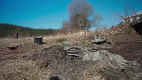 farmer working on farm plot, removing cover of organic soil fertilizer on ground