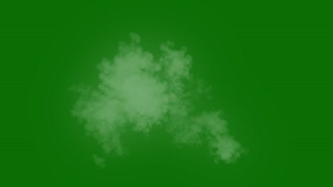 solid green background