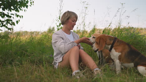 dog caretaker seated outdoor with her two dogs in lush grassy field, feeding one dog while the other chews something, surrounded wildflowers under sunny sky