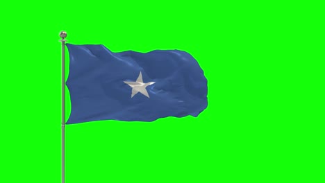 somalia 3d illustration of the waving flag on a pole with chroma