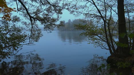 haunting autumn river scene in 4k with bare trees and a misty ambiance