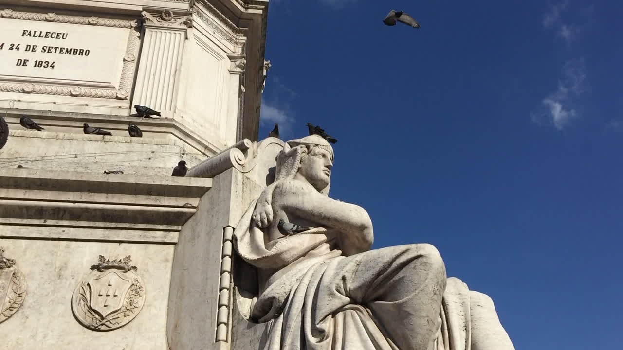 Pigeons at Rossio Square