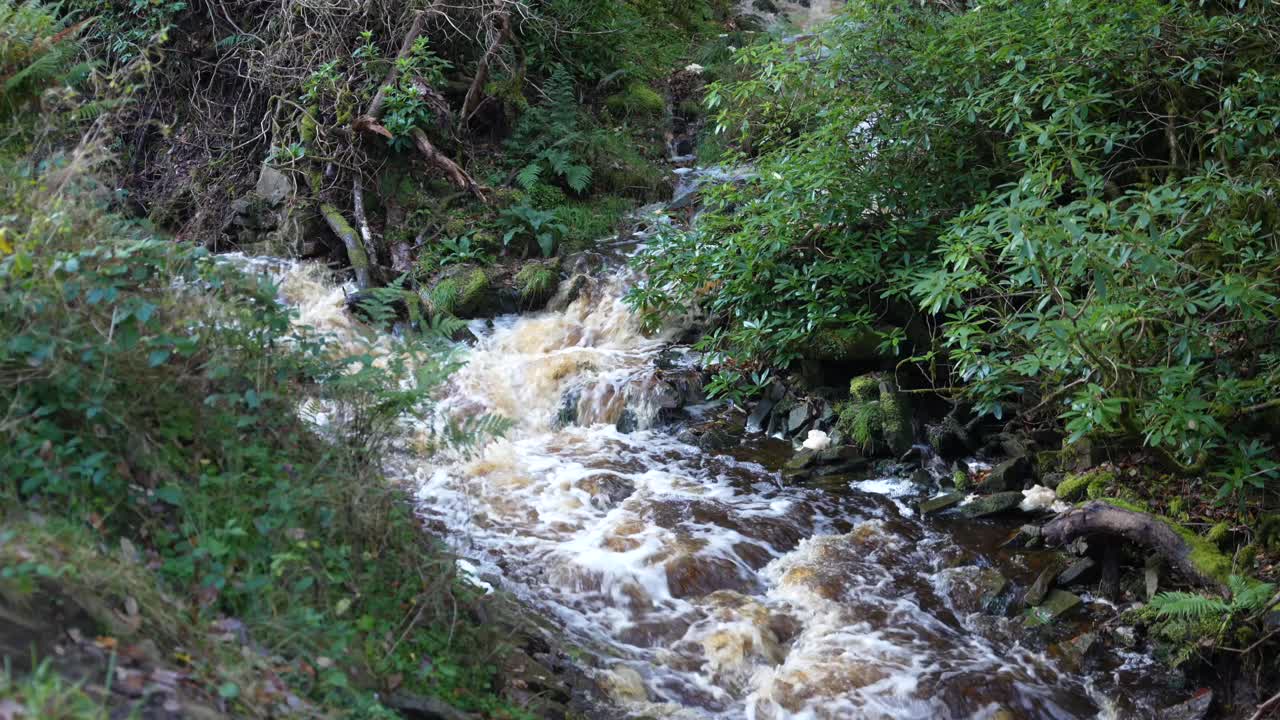 Rapid stream surging through Peak District valley after days of heavy rainfall