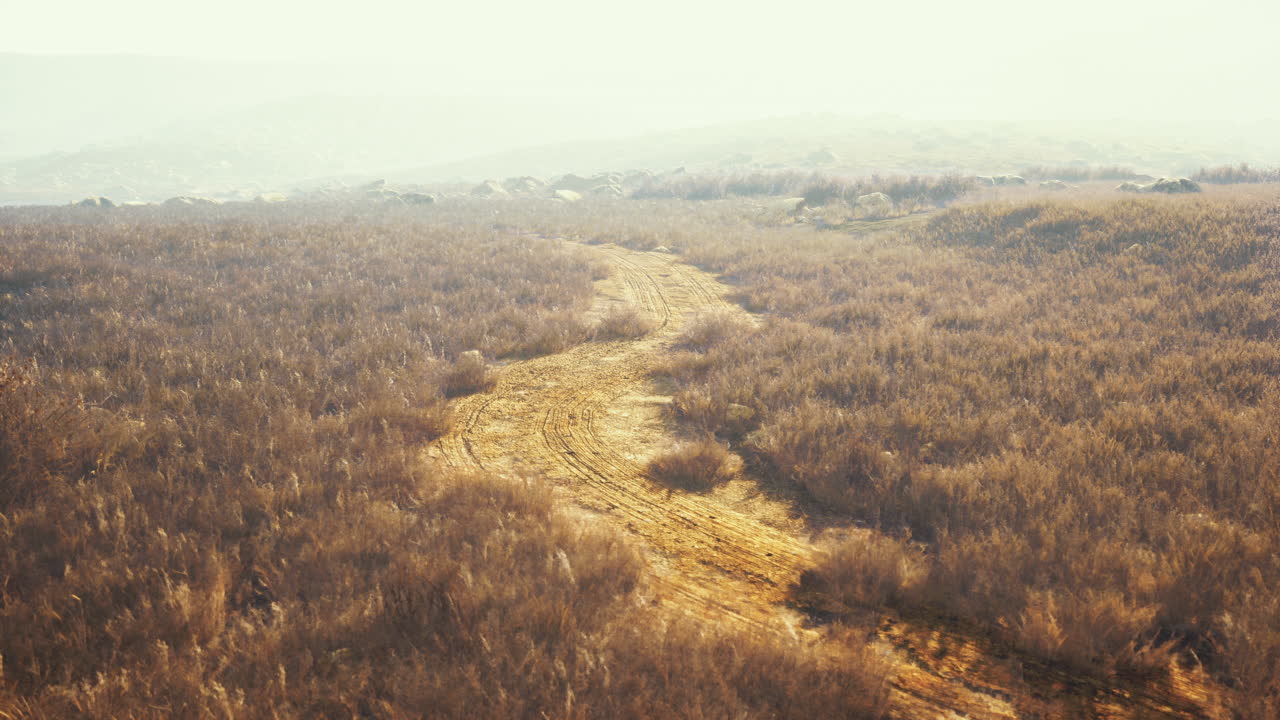 을 가로질러 휘어지는 길