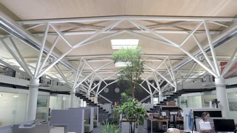 slow establishing shot of a modern empty office with plants as decoration