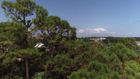 Volando-Por-Encima-De-Los-árboles-Para-Revelar-Un-área-Residencial-Cerca-Del-Océano