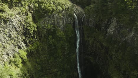 birds view shot of a long waterfall in a forest