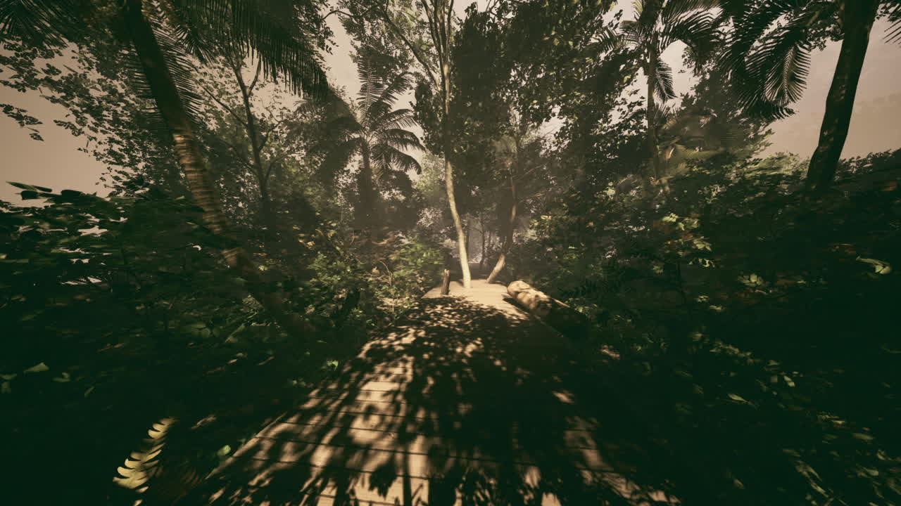 Rigoglioso sentiero tropicale che invita all'esplorazione attraverso una vegetazione vibrante