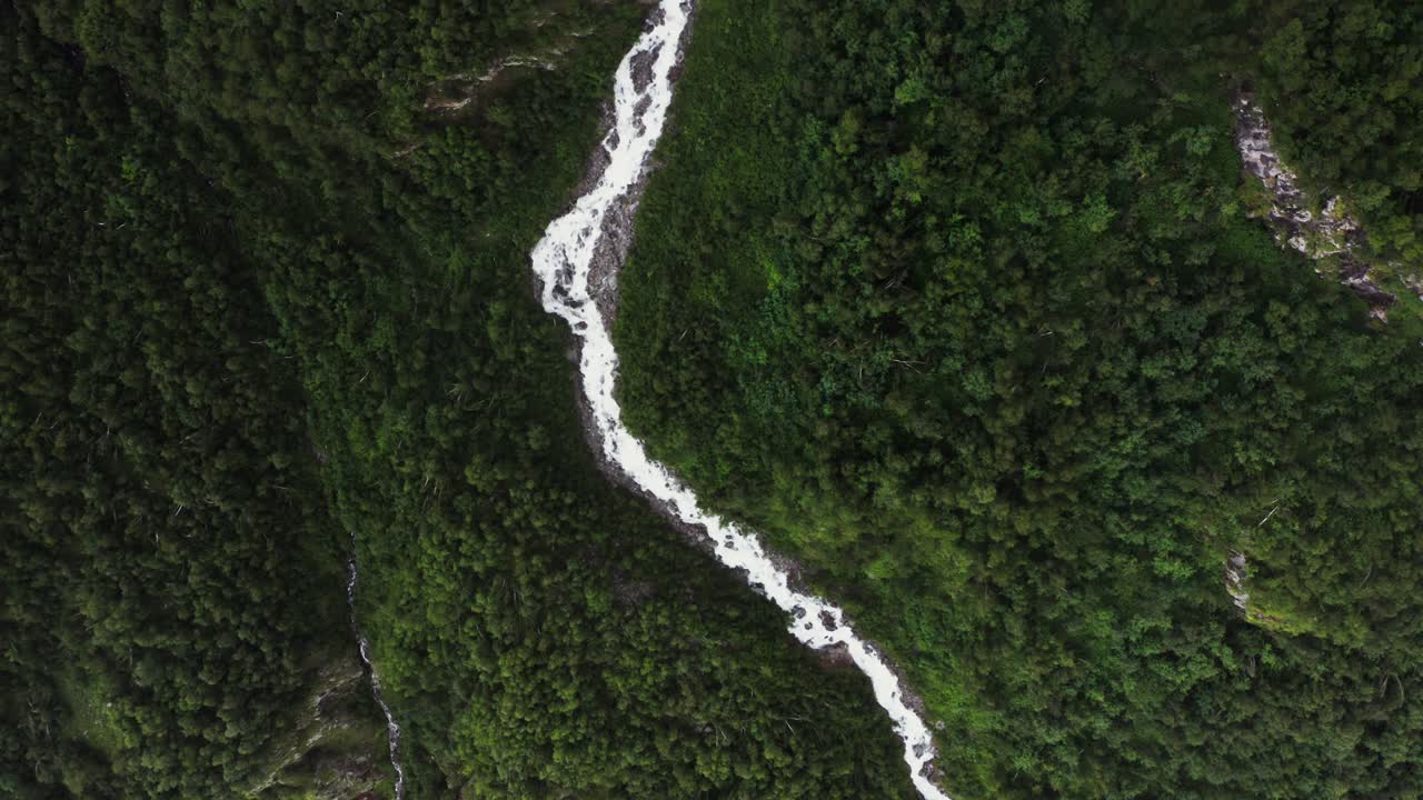 río de montaña que fluye a través de un bosque exuberante