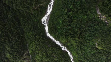 mountain river flowing through lush forest