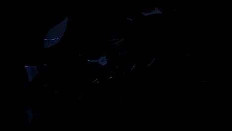 welcome reveal 01