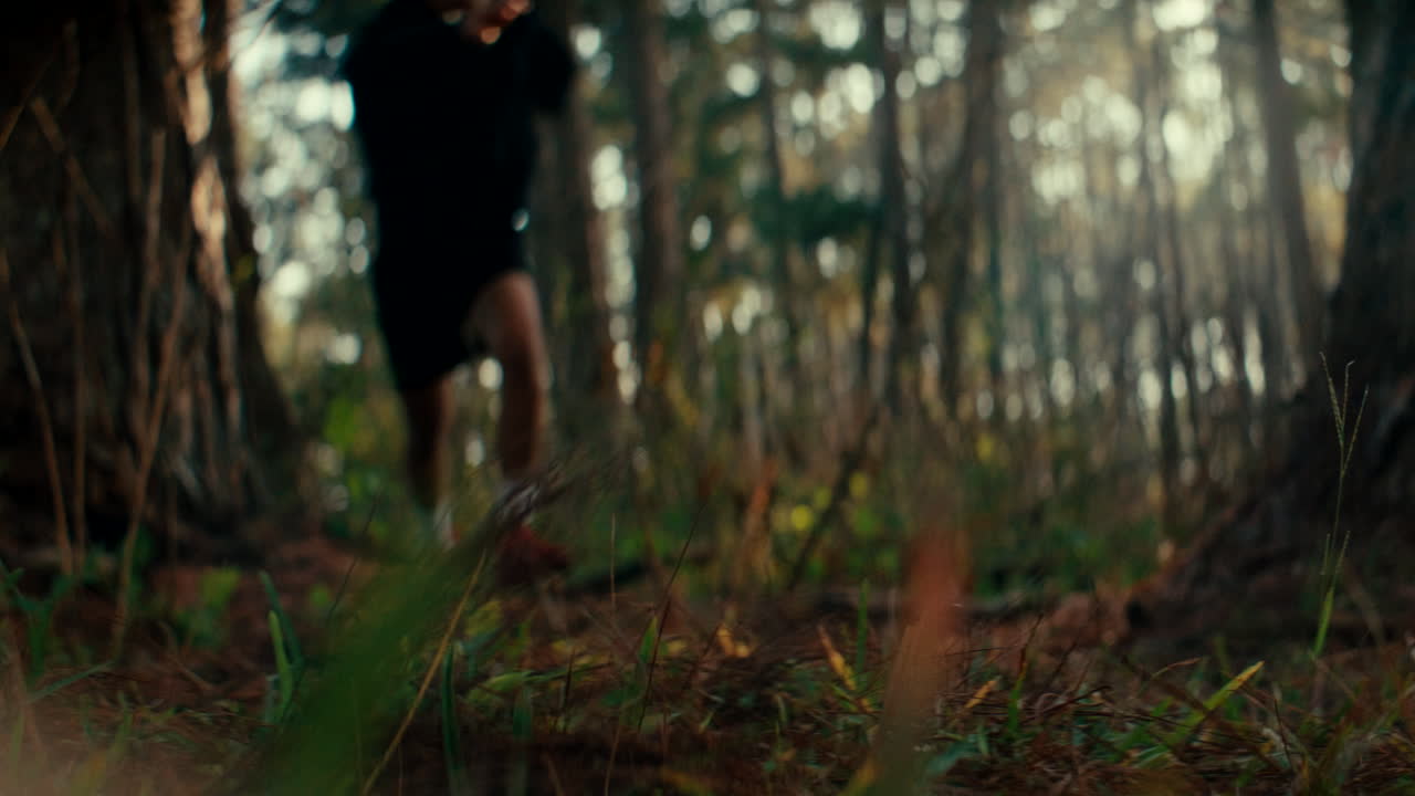 Person Running in Forest