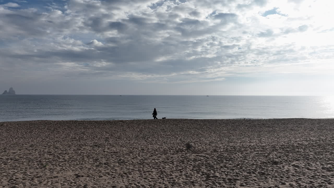 해변 해안, 코스타 브라바, 스페인에서 혼자 여자와 개를 향해 공중 비행