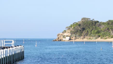 calm waters and rocky cliffs at port phillip bay